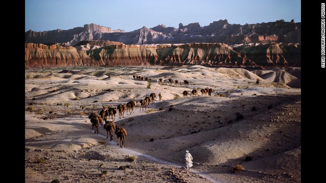 A camel caravan works its way across the rocky terrain in southern Afghanistan, 1980. 