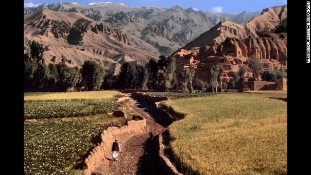 A farmer walks through fields, 2006.