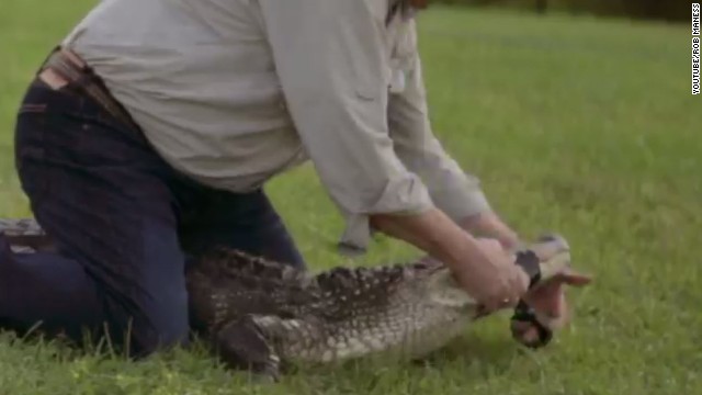 Alligator-wrestling Louisiana Senate candidate gets Palin backing