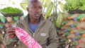 Turning waste into building materials