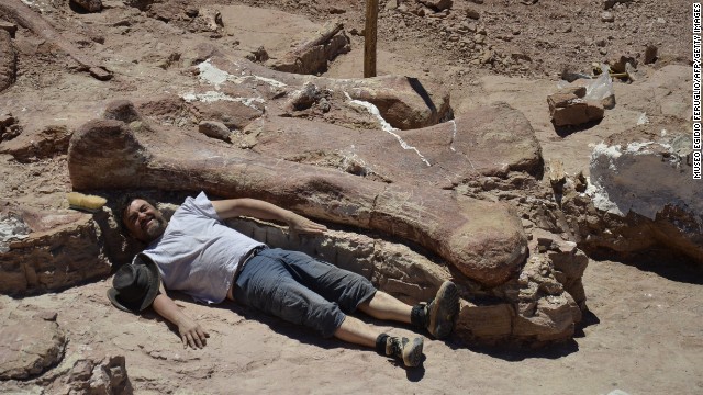 A technician poses next to a dinosaur fossil, thought to be a new species of Titanosaur, and likely to be the largest ever to roam the earth. The discovery was made in remote Chubut, Argentina, about 800 miles south of Buenos Aires. 