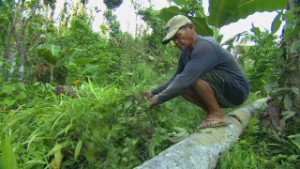 Small businesses far from recovery after Haiyan