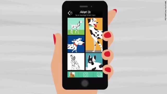 Una nueva aplicación te ayuda a encontrar el doble de tu mascota