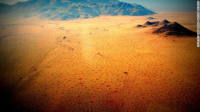 Strange barren dots -- rimmed with tall grasses -- sprinkle a 1,100-mile stretch of Namibia's desert. 