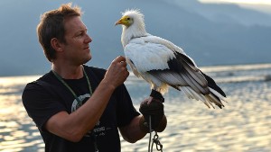 Scott Mason, founder of Nepal\'s Parahawking Project, uses two Egyptian vultures for flights. 