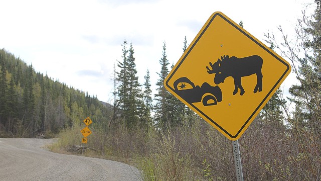 Moose and deer reportedly kill more people in North America than any other mammals, or at least they do when you total up drivers and passengers involved in animal collisions. Moose accidents, though less common than deer-related crashes, are the most likely to result in serious driving injuries or fatalities.