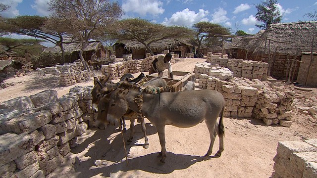 Donkeys also help transport one of the island's main commodities: coral stone.