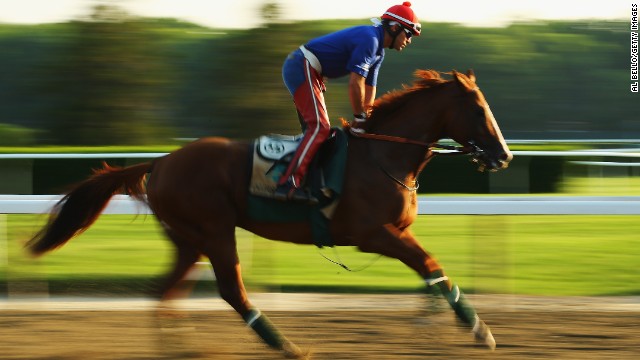 The three-year-old is bidding to become the first horse since 1978 to win the prestigious Triple Crown.