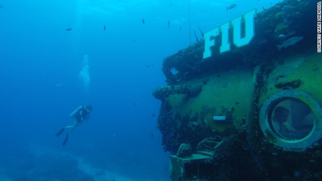 Aquarius, operated by Florida International University, calls itself the world