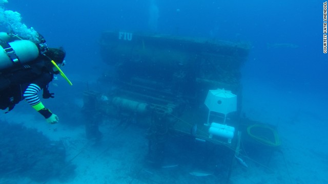 With their Mission 31 project, Fabien Cousteau and a team of researchers are spending what they hope will be 31 straight days in this undersea habitat, 63 feet beneath the ocean surface in the Florida Keys.