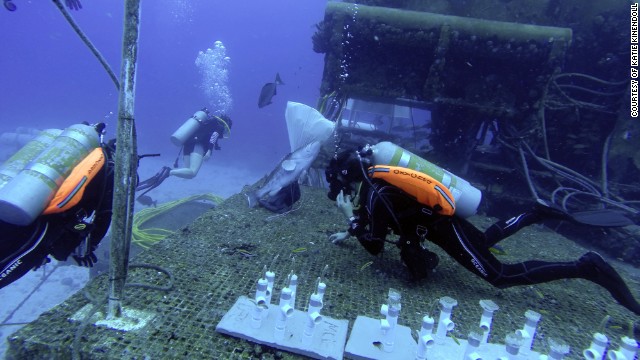 During his stay Cousteau plans to study how climate change is affecting the ocean