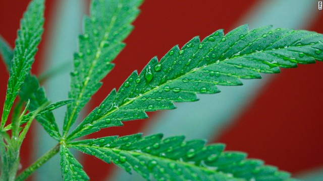 Oregonians to vote to legalize recreational marijuana