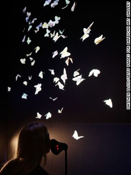 Butterflies flutter in another Google DevArt commission. Google created an online platform where it's possible to watch commissioned artist's creative process from concept to finished piece.
