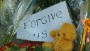 Russian MH17 memorial says 'forgive us' 