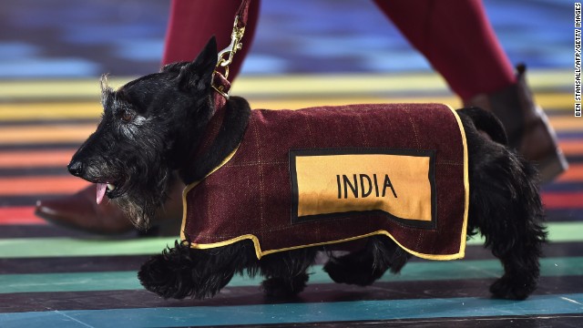 Scottish terrier dogs accompanied the teams as they walked around the arena.