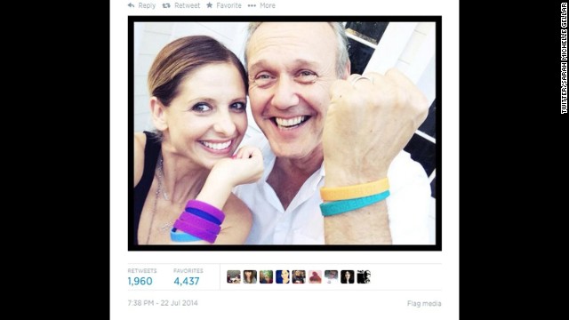 Note to self: Start hanging out with Sarah Michelle Gellar. The former "Buffy" star staged a mini-reunion with co-star Anthony Head on July 22 as they showed off their wristbands for Cool To Be Kind, Head's organization that supports acts of kindness to animals. So what's the rest of the cast up to these days? Let's find out: