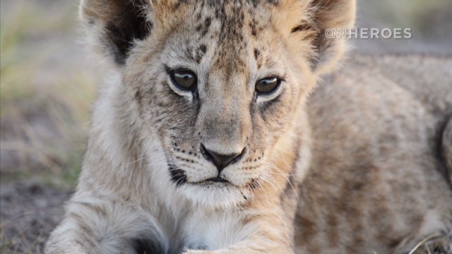 Leela Hazzah: transformando asesinos de leones en 'Guardianes de Leones'