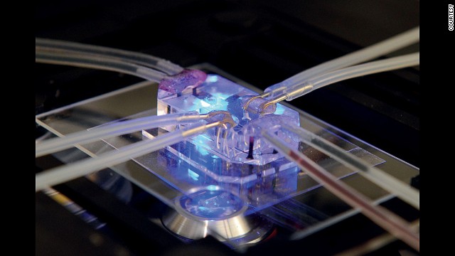 The Wyss Institute at Harvard has created this Lung-on-a-Chip, which mimics the complex biochemical and mechanical behavior of the human lung