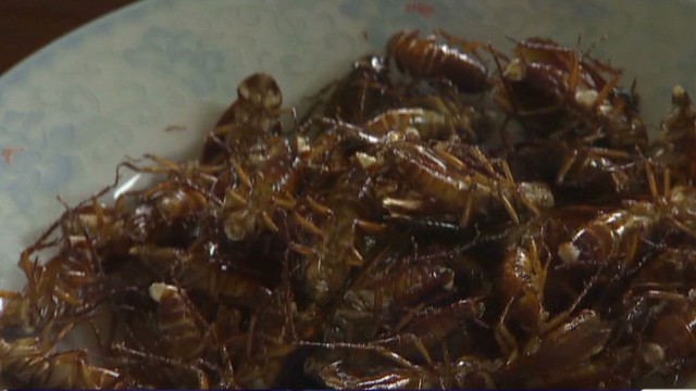 eating-cockroaches-in-china-healing-and-delicious-cnn