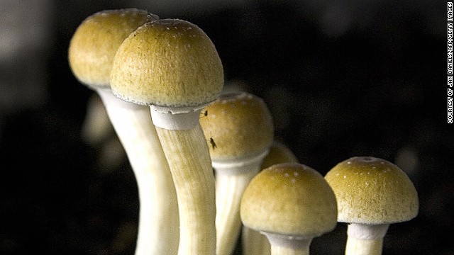 Un químico de los "hongos alucinógenos" podría mitigar la depresión y las adicciones