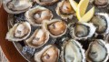 America's best oyster bars
