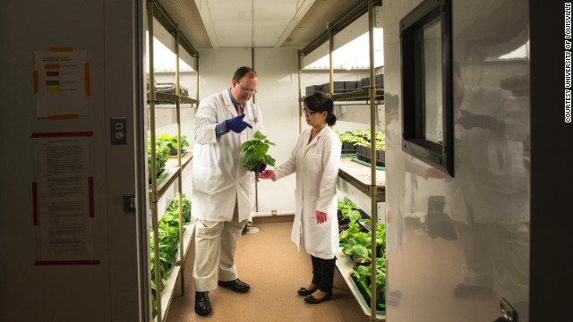 Το Πανεπιστήμιο της Owensboro Cancer Research Program Louisville είναι χρησιμοποιώντας φυτά καπνού για την παραγωγή εμβολίων. 
