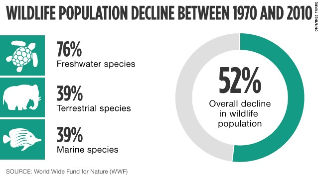 WWF: World Has Lost More Than Half Its Wildlife In 40 Years - CNN.com