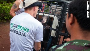 Nev Broadis tries to calm the moon bear cub, known as Rescue Number 182.