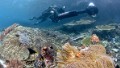 Camera maps coral reefs