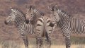 Namibia embraces conservation