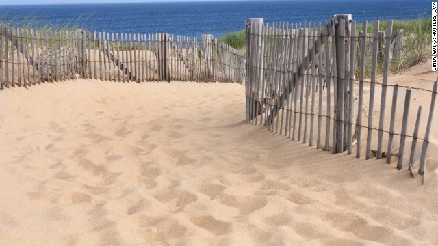 The light, the dunes, the sea air: All of the beauty of Provincetown and its surrounding landscape have captured the attention of writers, poets and artists for over a century. 