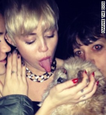 Marnie the Dog, queen of celeb selfies - 141105161552-miley-cyrus-marnie-the-dog-t3-entertainment