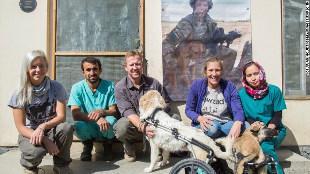 Nowzad Dogs has a shelter and clinic in Kabul, Afghanistan, that includes several trained veterinarians. The clinic spays or neuters street dogs and cats. It also vaccinates them and gives them microchips.