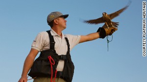 A demonstration featuring birds of prey is part of the experience.
