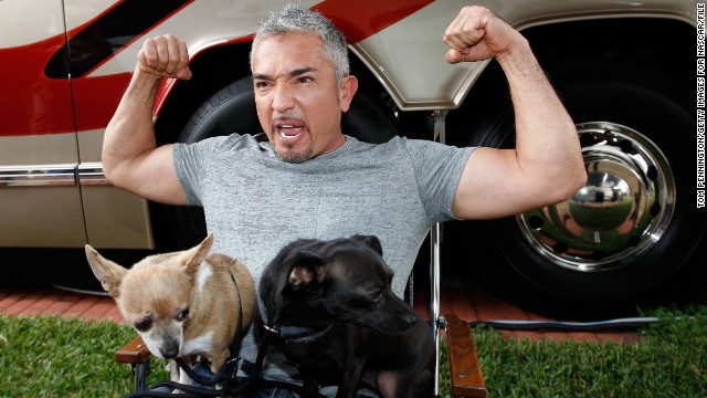 No one's safe when it comes to Internet death hoaxes, and that includes popular dog trainer Cesar Milan. After erroneous reports that Milan had died erupted in early December, <a href='http://instagram.com/p/wJsmhWuXQ3/' >he posted a rebuttal on Instagram</a>, assuring his fans that he was "safe, happy and healthy."