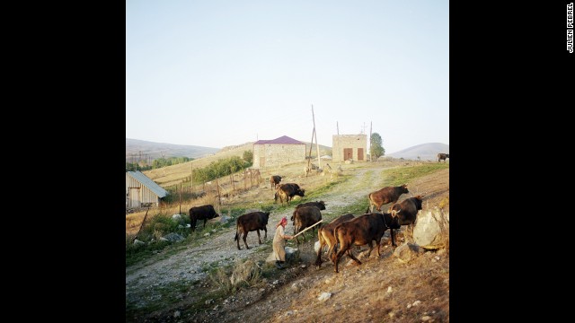 A woman herds cattle in Lichk. With most of the village's men gone, the women have to do everything themselves, from working the land to herding the livestock and raising children.