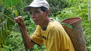 Iban tracker Apau is adept at following the trails of endangered orangutan.