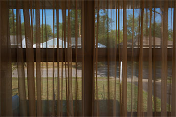 Window