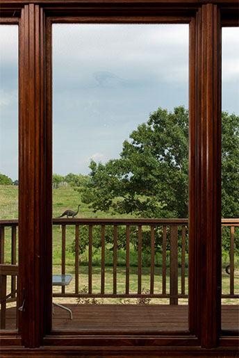 Window