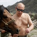 vladimir putin horse