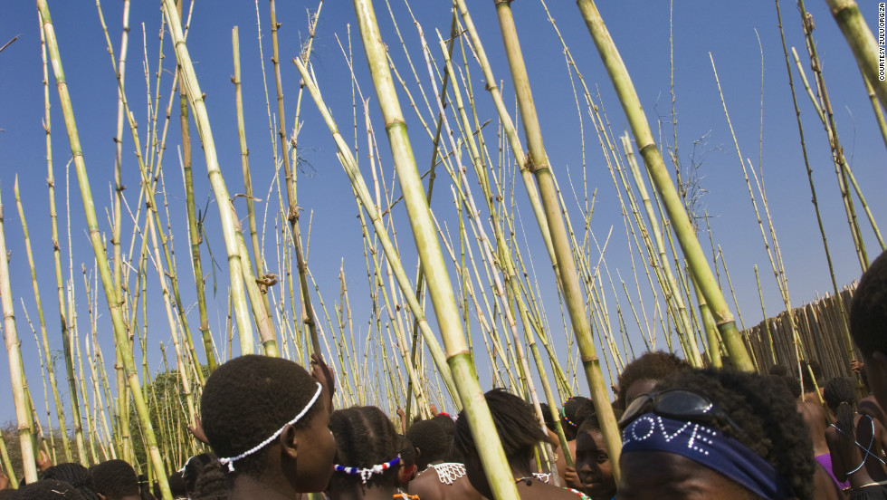 A group of Zulu women carry reeds to the royal palace during the annual reed-dance ceremony.