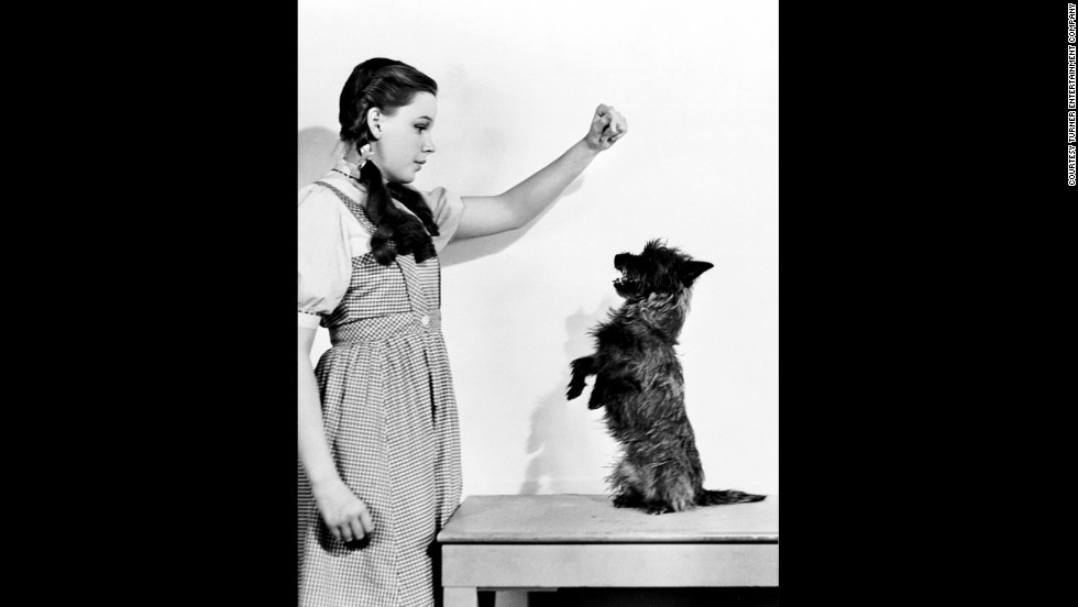 Judy Garland and Terry pose for a publicity shot.