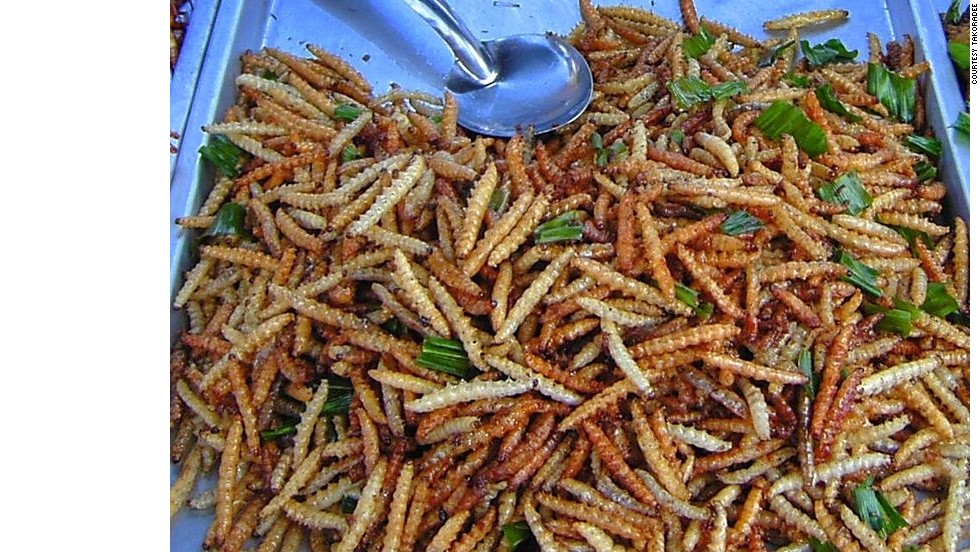 A Traveler S Guide To Eating Insects