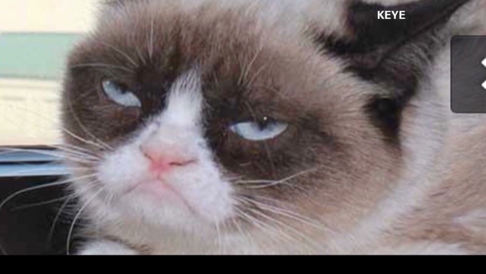 Grumpy Cat goes from meme to movie star