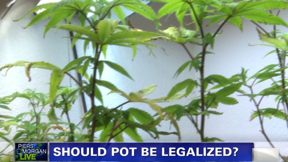 Should we legalize marijuana essay