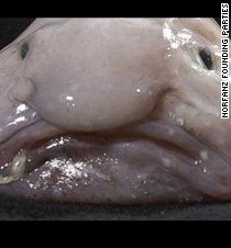 ugly fish blob