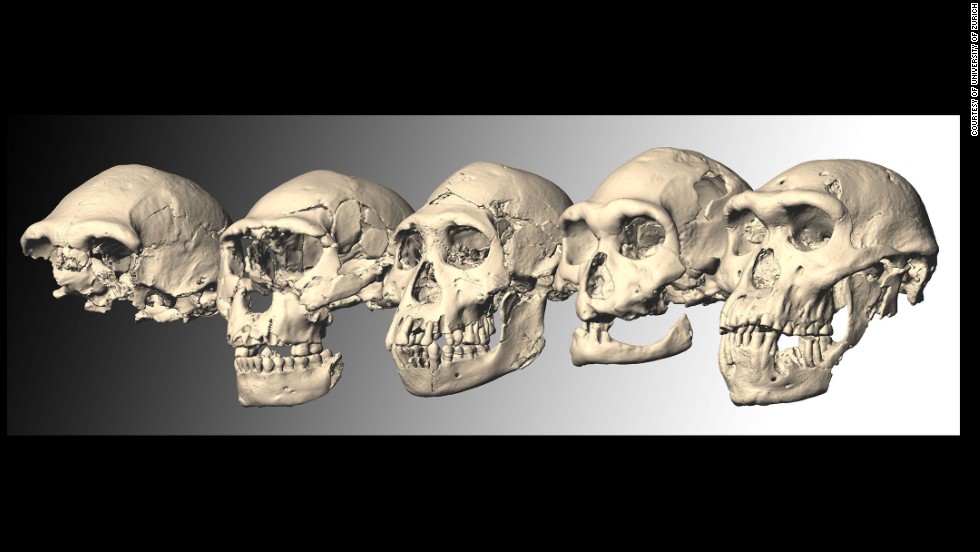 131017112631-04-ancient-skulls-1017-horizontal-large-gallery.jpg
