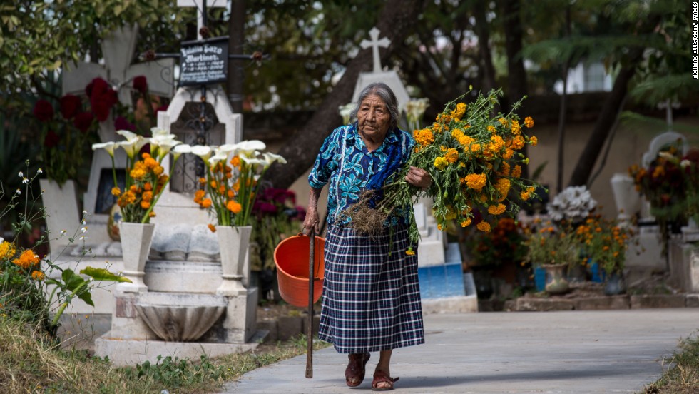An elderly Zapotec indigenous woman carries flowers to the grave of a family member at the start of the Day of the Dead festival in Teotitlan, Mexico. "Marigold flowers are used for Day of the Dead because of their pungent smell. It's supposed to attract the spirits back on this one day they are allowed to return to visit family and friend," says Anaya-Cerda.