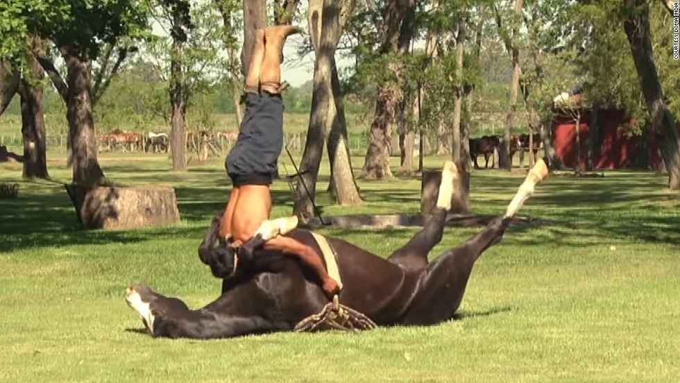 140506173619-doma-india-horse-yoga-horizontal-large-gallery.png