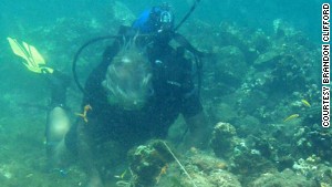 The location of the Santa Maria, Christopher Columbus&#39; flagship for his journey to the new world, has remained a mystery since it ran aground in late 1492. Underwater explorer Barry Clifford believes these are the remains of Columbus&#39; Santa Maria off the coast of Haiti.